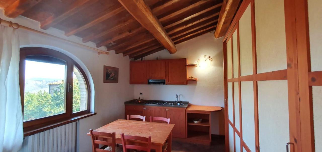 Fattoria Lischeto Bauernhof *